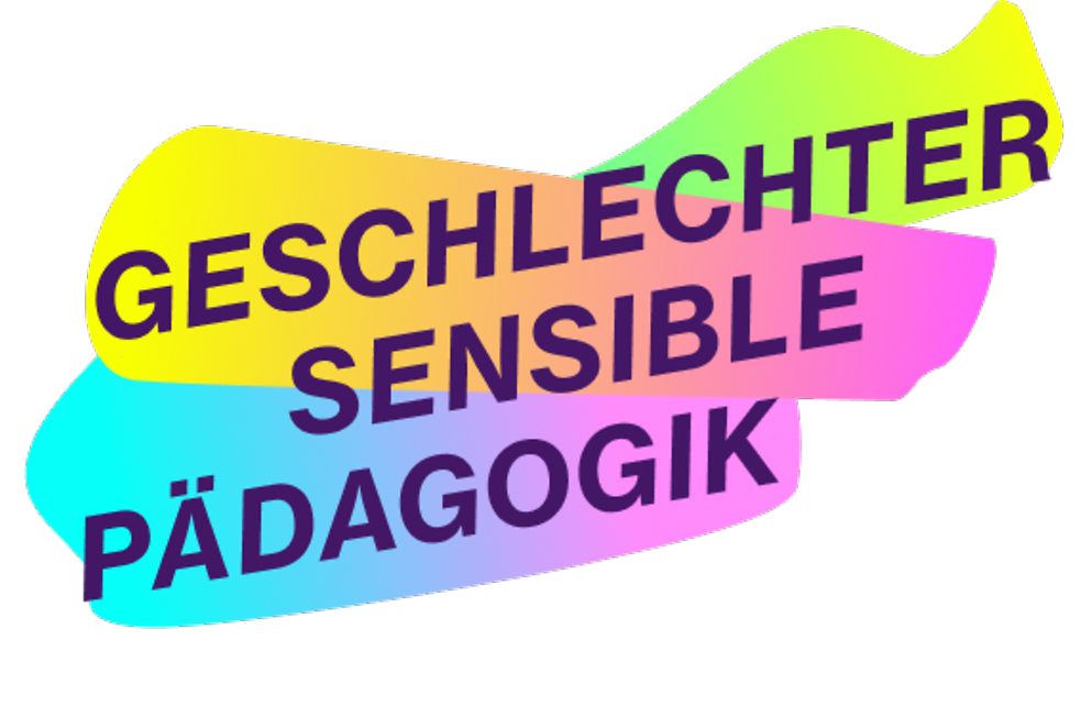 Ein Screenshot der neuen Website "Geschlechtersensible Pädagogik"